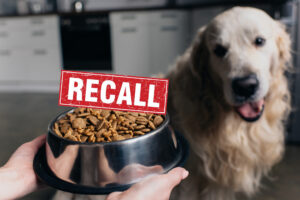 dog food recalls